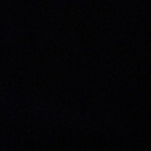 Meet your Posher, Stellaa